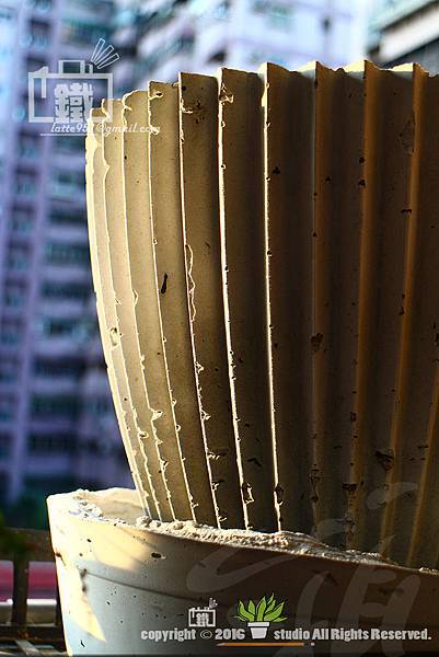 IMG_5406.jpg IMG_5406.jpg