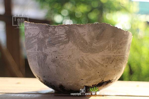 IMG_5534.jpg IMG_5534.jpg