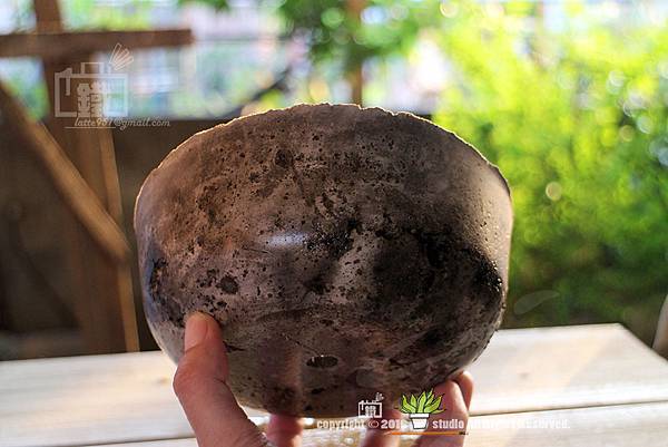 IMG_5586.jpg IMG_5586.jpg