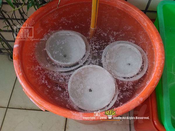 P_20160730_132159.jpg P_20160730_132159.jpg