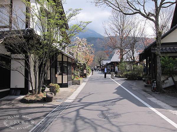 5030-湯の坪街道