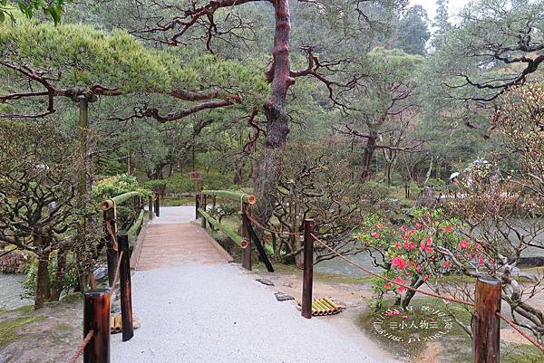 2045-銀閣寺.JPG