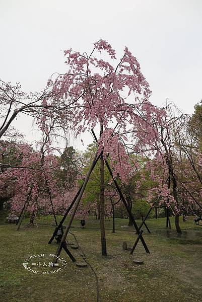 2098-平安神宮.JPG