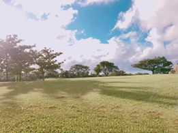 14495498_10207193124927588_3962725193815144223_n