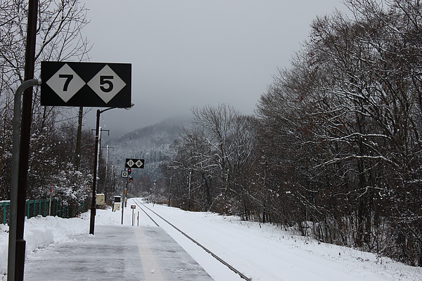 20101225北海道之旅 517.jpg