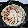 IMG_5140.JPG
