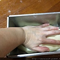 IMG_4871.JPG