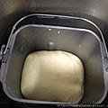 IMG_4578.JPG