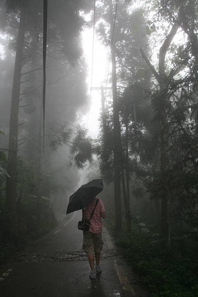 霧霧霧