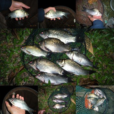 11 10 28 南港公園 喜愛釣魚嗎 哇系黃金獵犬 來去釣魚囉 痞客邦