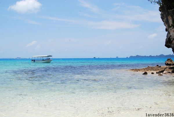 DSC_0449.JPG DSC_0449.JPG