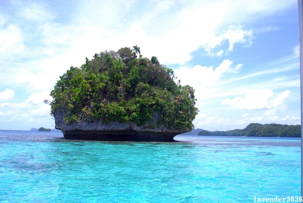DSC_0547.JPG DSC_0547.JPG