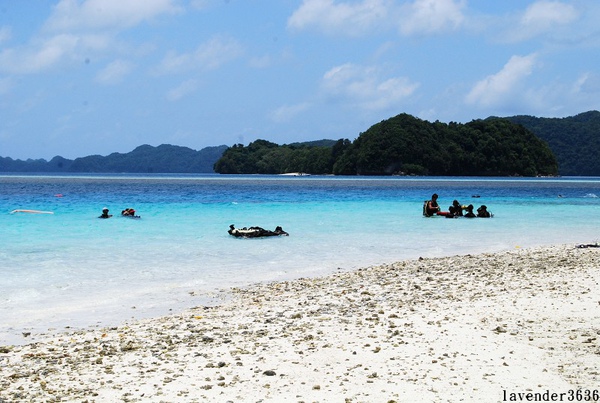 DSC_0563.JPG DSC_0563.JPG