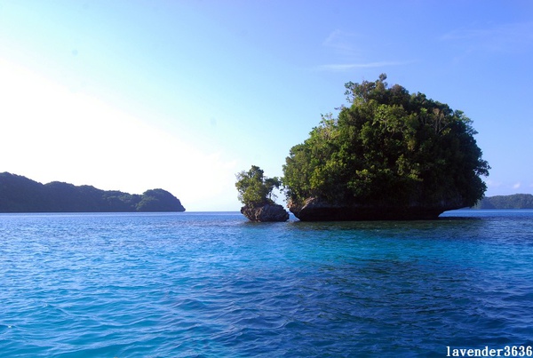 DSC_0727.JPG DSC_0727.JPG