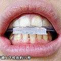 1313085432-732bf721a555393aee3640d98a63ed17.gif