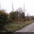 P2250515