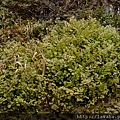 P2250642