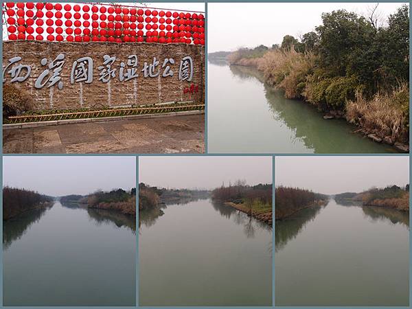 0225西西濕地1