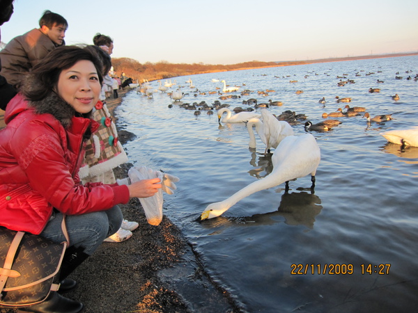 北海道5日遊DAY1_15.JPG