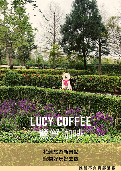 Lucy Coffee