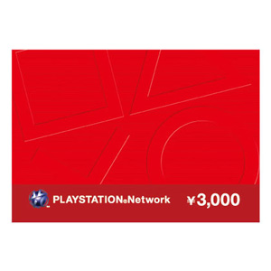 psn3000-2.jpg