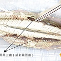 筷子,304不銹鋼筷子,秋刀魚