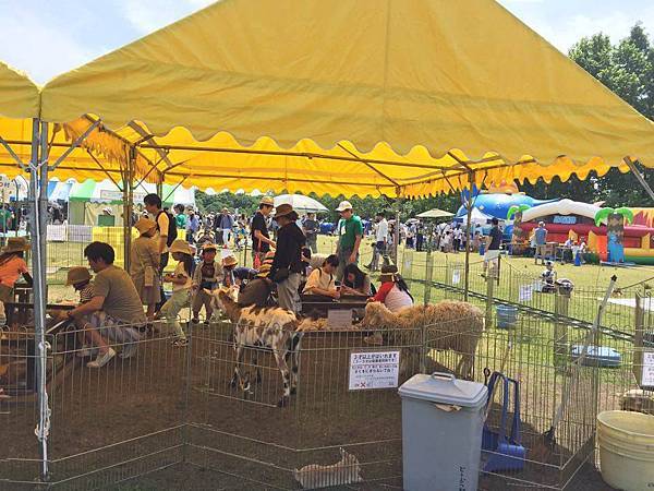 13245482_1098623386877524_4599081317804615276_n.jpg 13245482_1098623386877524_4599081317804615276_n.jpg