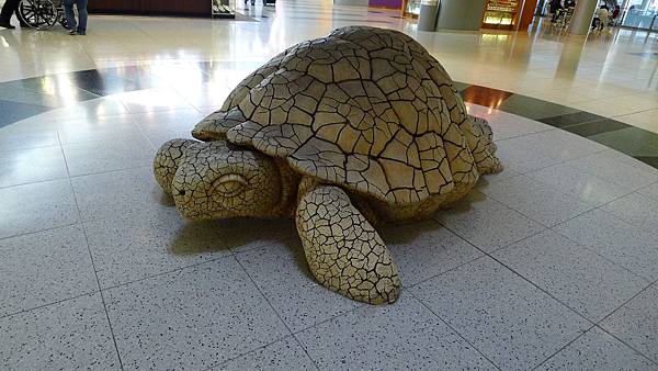 I love this turtle at Las Vegas airport