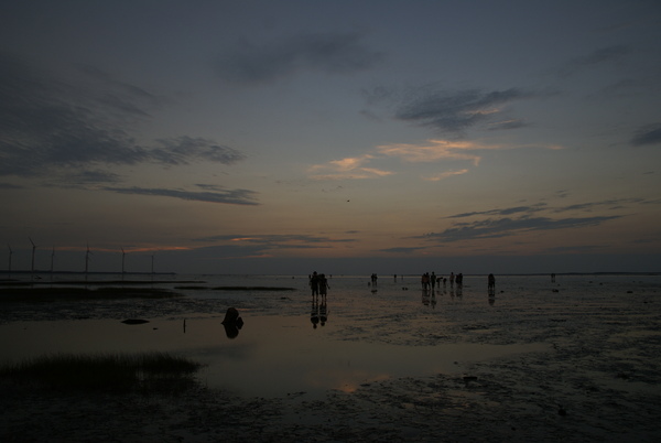 DSC03659.JPG DSC03659.JPG
