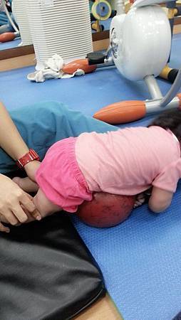 3. 爬(小球練撐手姿勢).jpg