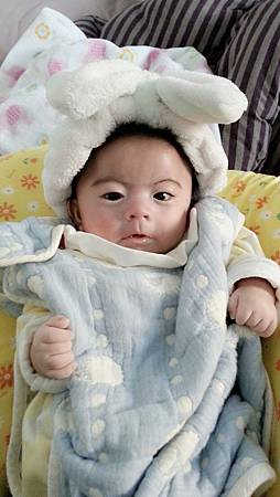 IMG_4815.JPG IMG_4815.JPG