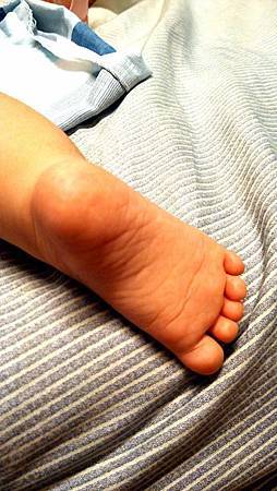 995618_10152652260257812_3564860631296816233_n.jpg 995618_10152652260257812_3564860631296816233_n.jpg