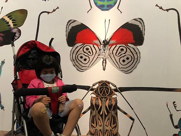 2020.10.28手牽手相片