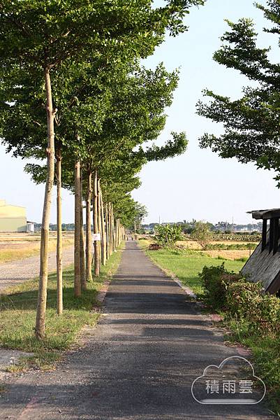 台南土溝社區藝術農村