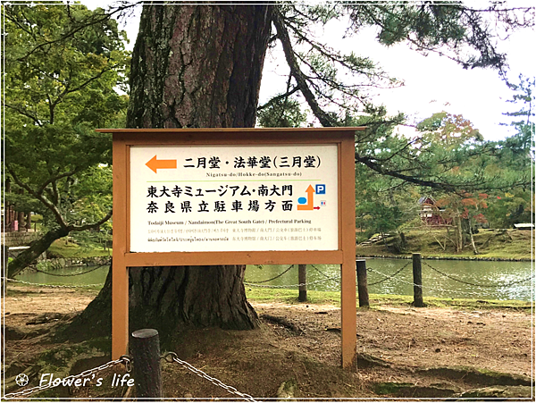 遊記 奈良 奈良 來看小鹿囉 奈良半日遊 3 奈良景點分享 二月堂 春日大社 Flower S Life 懶花過生活 遊記 奈良 奈良 來看小鹿囉 奈良半日遊 3 奈良景點分享 二月堂 春日大社 Flower S Life 懶花過生活