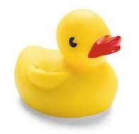 duck.jpg duck.jpg