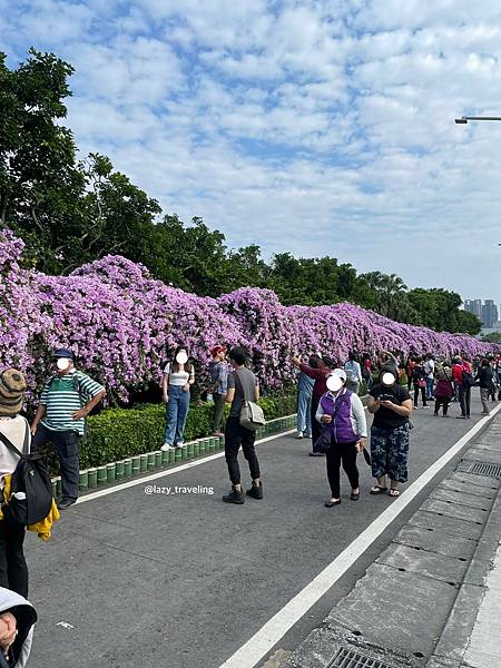 LINE_ALBUM_楓樹河濱公園蒜香藤步道_211124_0.jpg