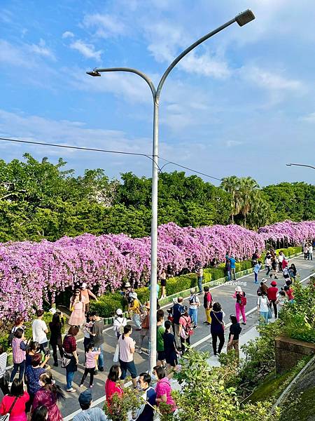 LINE_ALBUM_楓樹河濱公園蒜香藤步道_211124_20.jpg