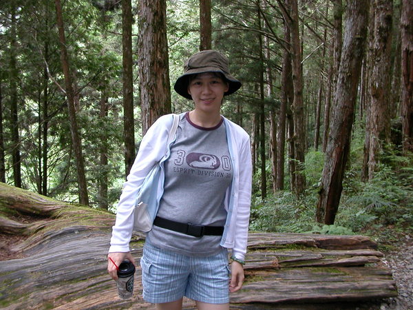 媽咪在茂興森林步道