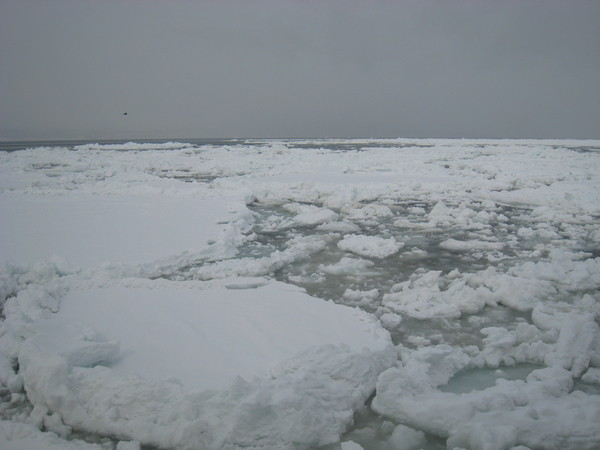 第2天：搭網走破冰船 觀賞流冰