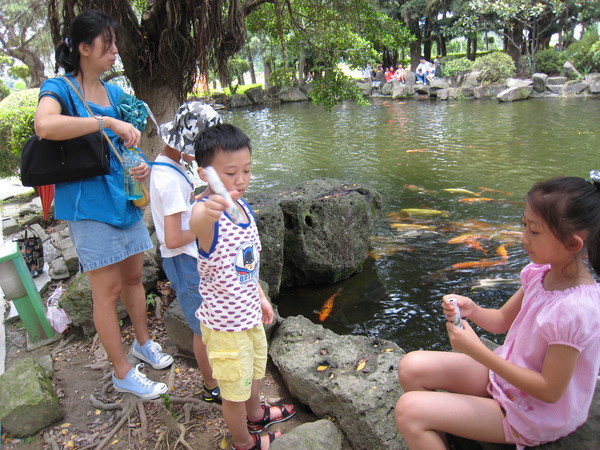 餵魚趣