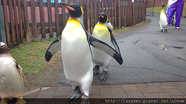 登別尼克斯海洋公園