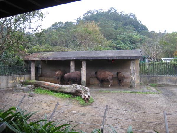 20081225動物園校外教學