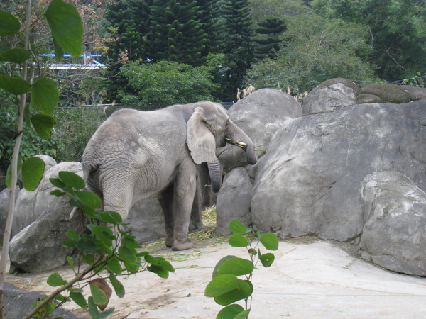 20081225動物園校外教學