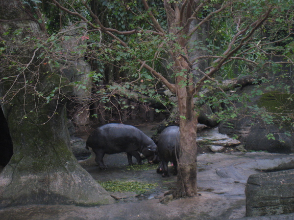 20081225動物園校外教學