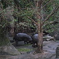 20081225動物園校外教學