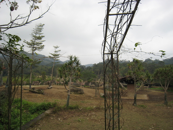 20081225動物園校外教學