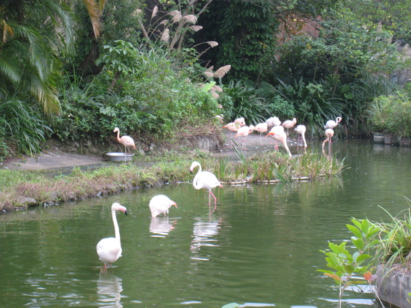 20081225動物園校外教學