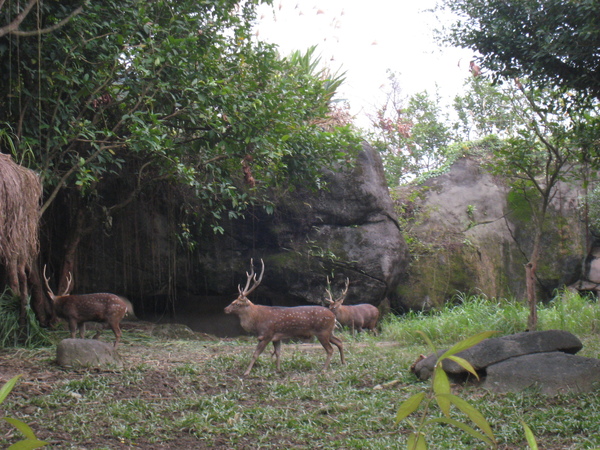 20081225動物園校外教學