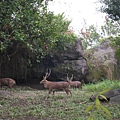 20081225動物園校外教學